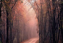 开云体育：2-1！德丙鱼腩队创奇迹：逆转德甲冠军首进决赛 球迷冲入球场庆祝.