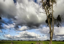 开云体育:约基奇26+13掘金负森林狼 雷霆胜开拓者5连胜.