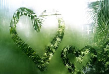 [图]凯恩破门金玟哉进球 拜仁客场击败弗赖堡.