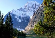 [图]凯恩破门金玟哉进球 拜仁客场击败弗赖堡.