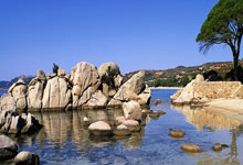 开云体育:库明加休战穆迪又活了!近两场19中11砍30分!网友:小库别回来了.